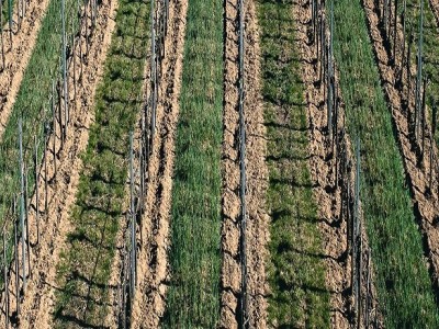 Smart Agriculture